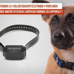 Collier electrique chien : la sélection des meilleures offres du moment
